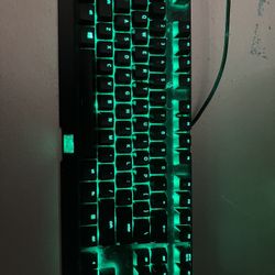 Razor Black widow X Tournament Edition Chroma  