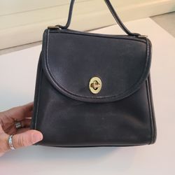Vintage Coach Regina
