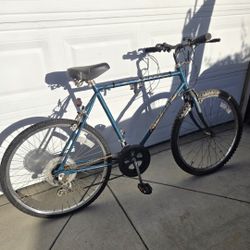 huffy usa rockslide all terrain 10 speed
Mountain Bike needs tires tubs or just air