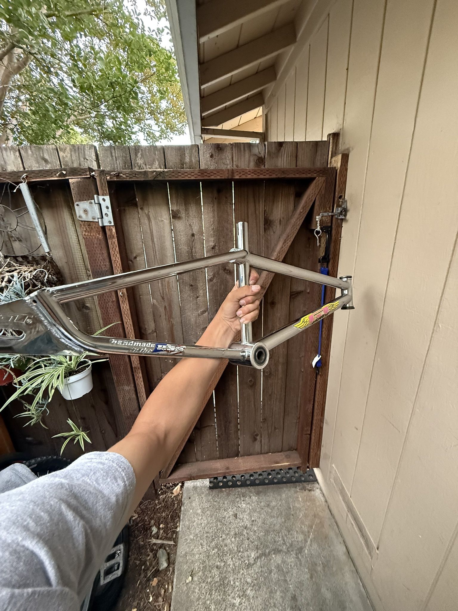 1998 Gt Pro Series Xle Frame RARE