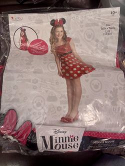 Minnie Mouse Costume Child Size Large