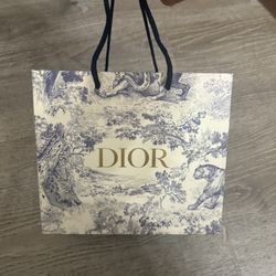 Dior Belt