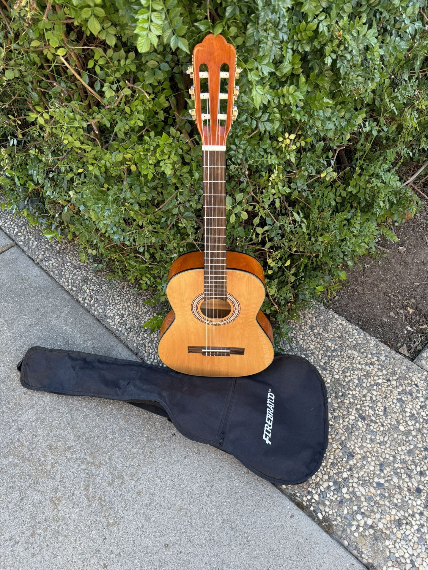 Acoustic Junior Guitar 🎸 Lelon String Classic