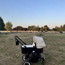 Bugaboo Buffalo Stroller 