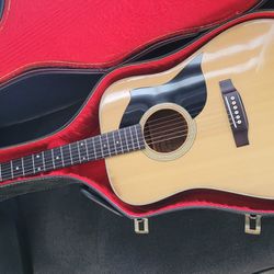 Goya G320 Acoustic Guitar 