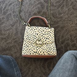 Cute Purse! 
