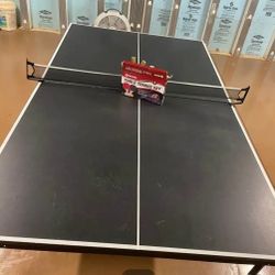 Table Tennis Ping Pong