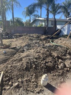 Free Dirt