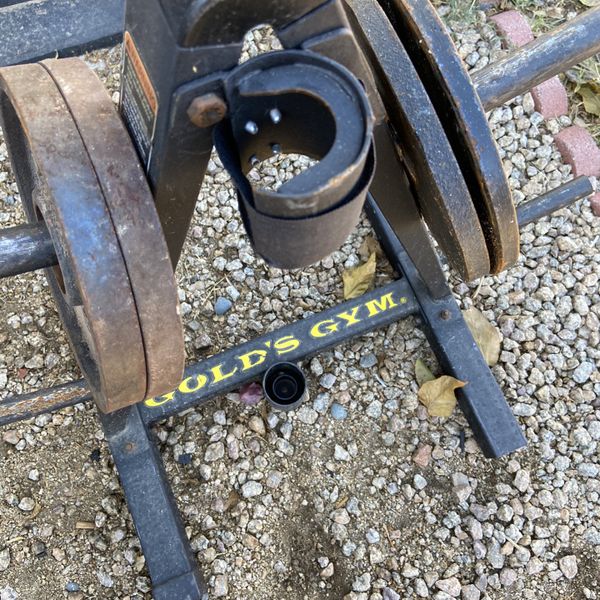 golds gym weight tree