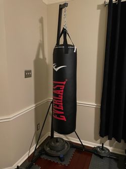 Everlast Punching Bag