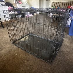Kennel