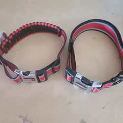 2 New Dog Collars 