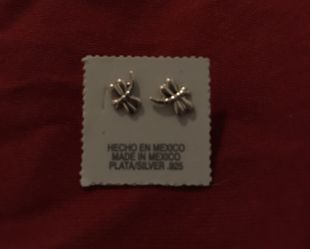 Small silver .925 earnings