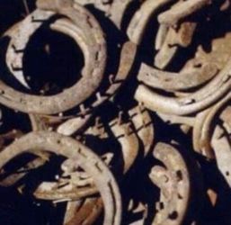 Horseshoes