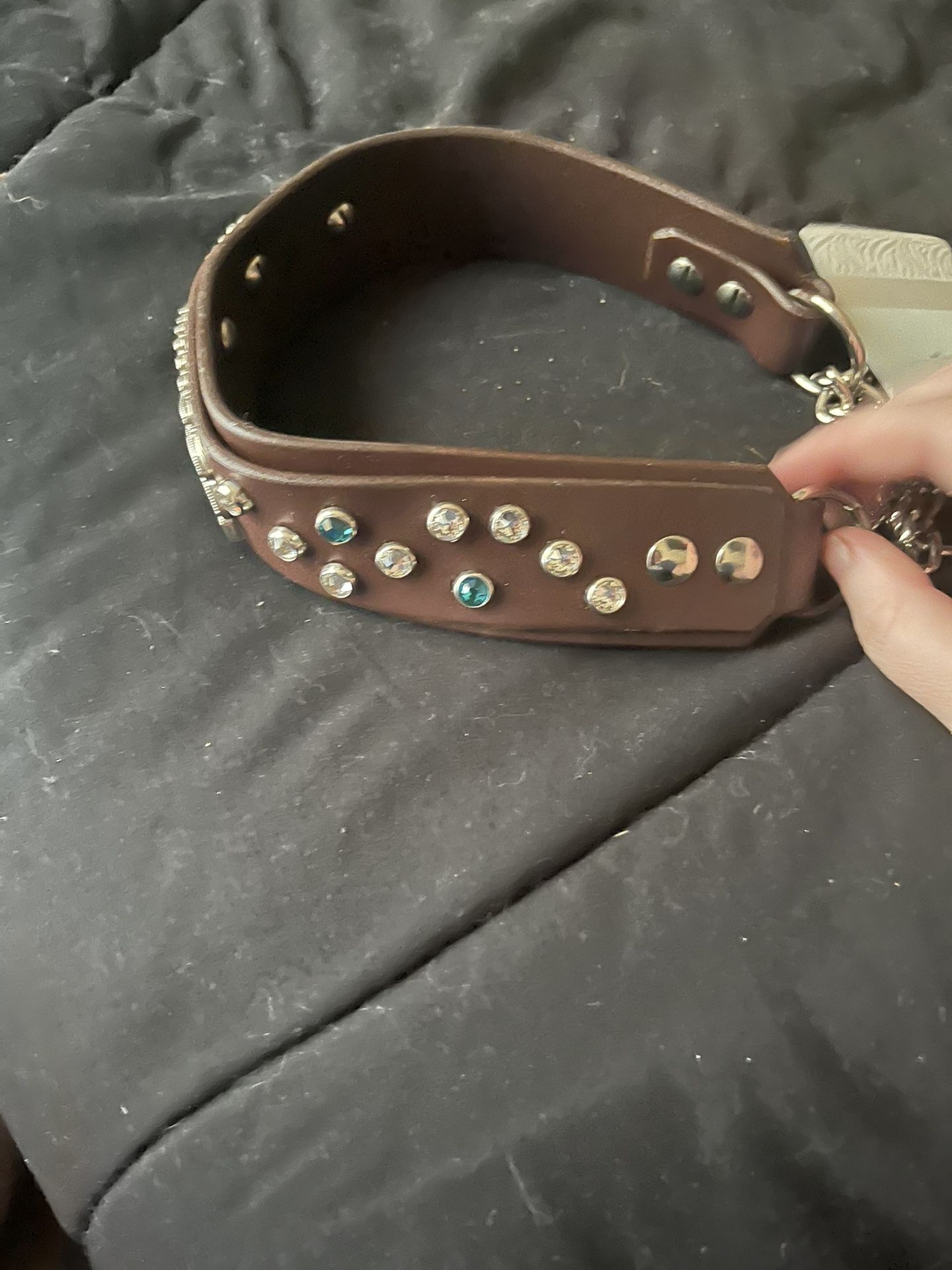 Brand new Striped Pony Customized Dog Collar