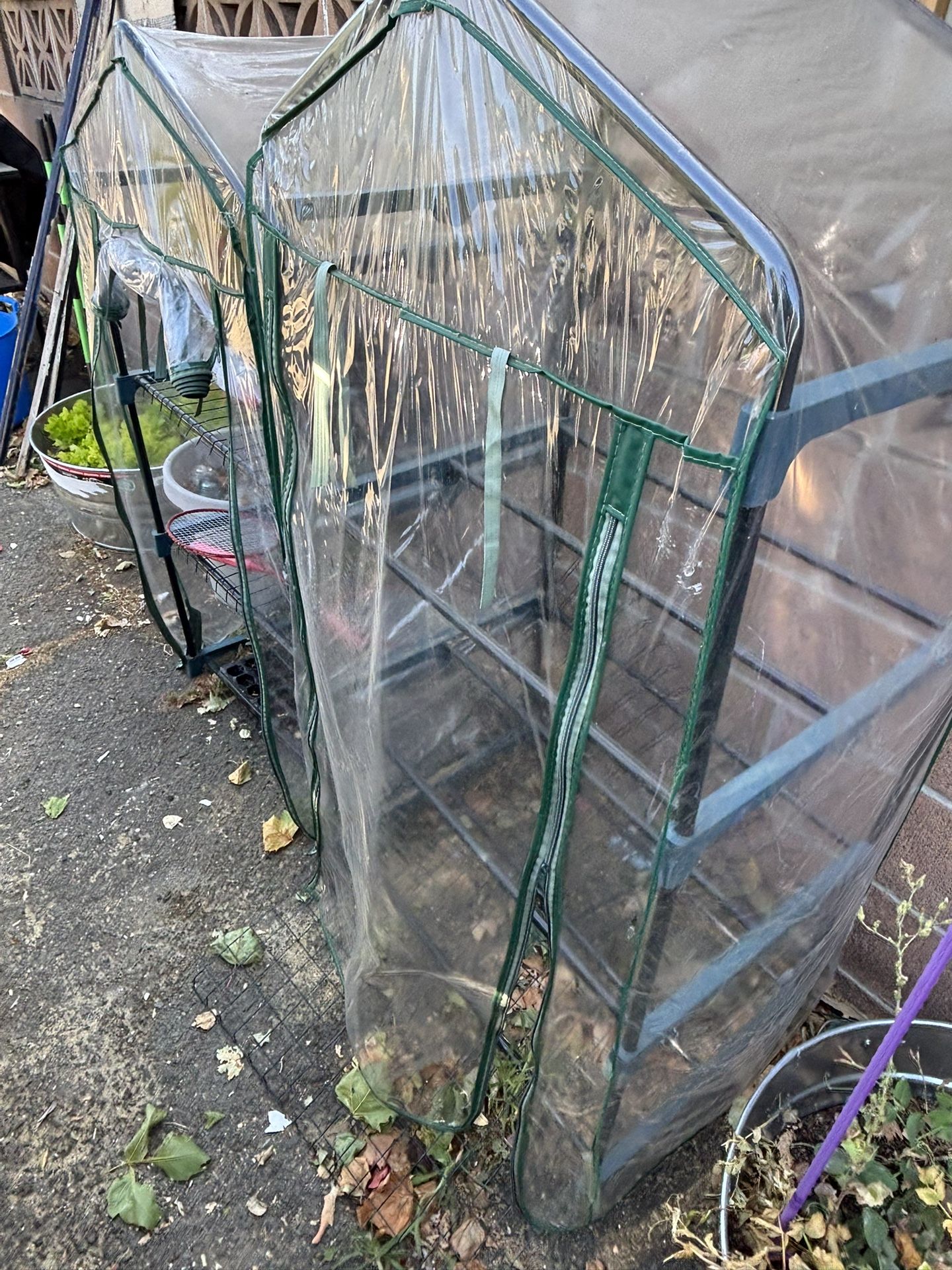 Greenhouse
