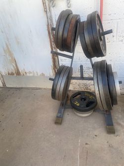 Weight Plates and Good Condition