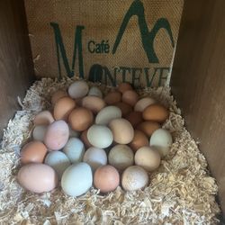 Organic Farm Fresh Eggs $9/dozen