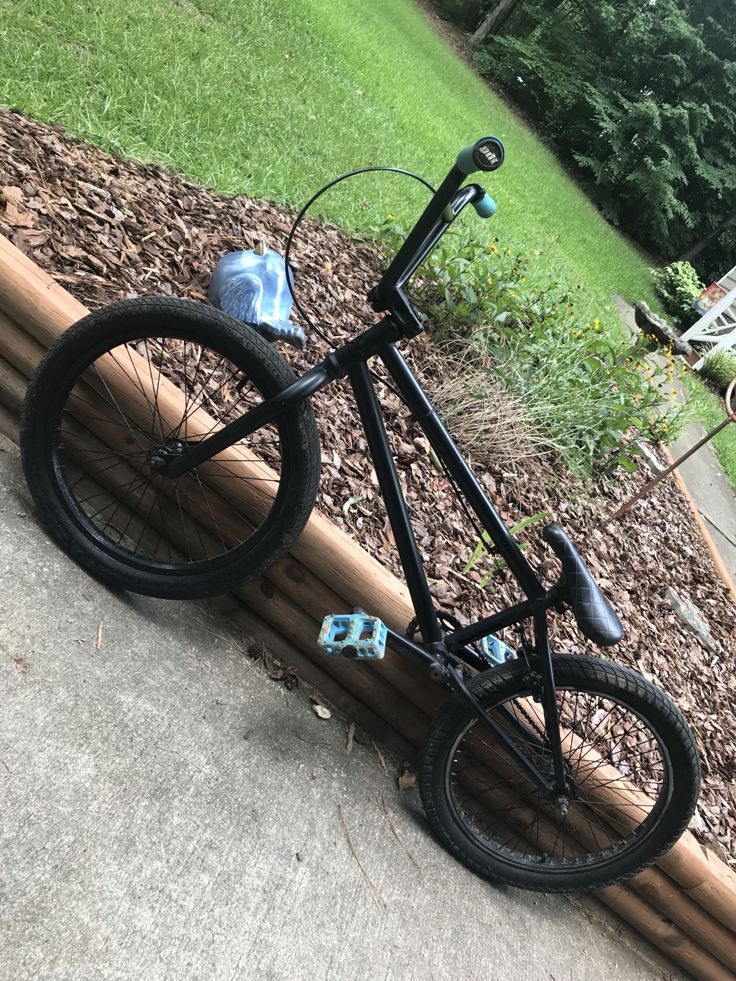 Eastern Warlock BMX Bike