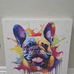 French Bulldog Picture 