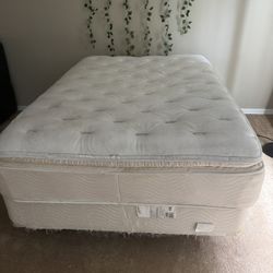 Beauty Rest Full Mattress Box Spring & Frame