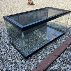 Fish Tank
