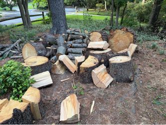 Free White Pine Firewood