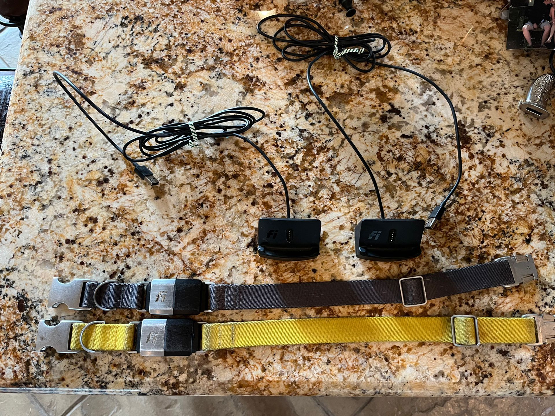 Fi Series 2 Smart Dog Collar