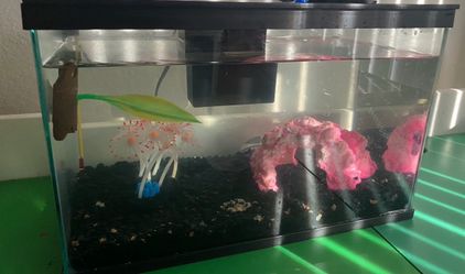 10 gallon fish tank