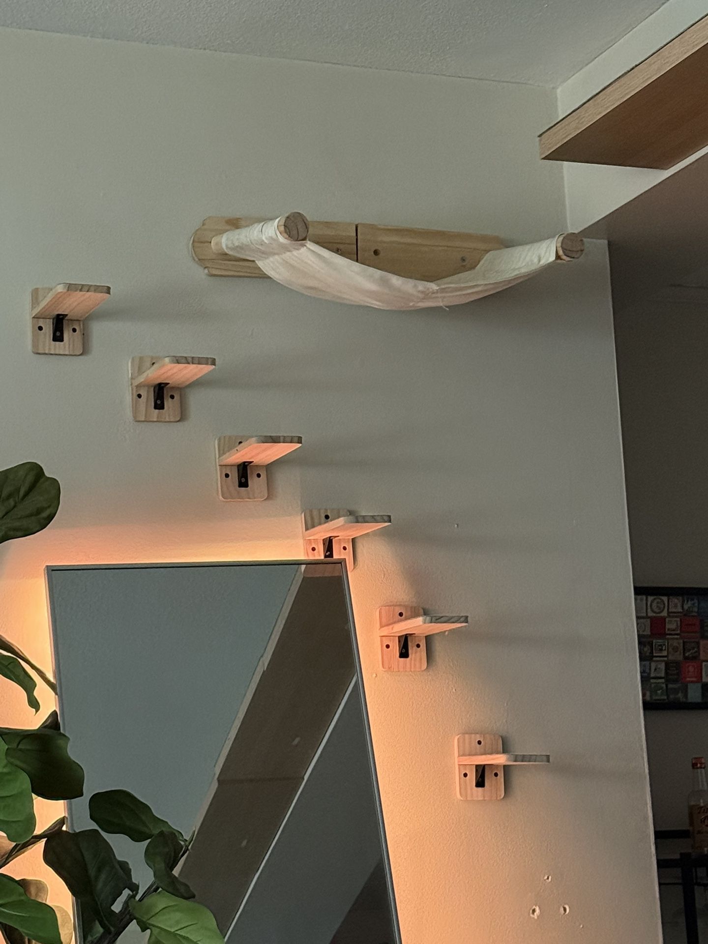 Cat Playground