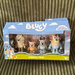 Bluey Wedding Time 