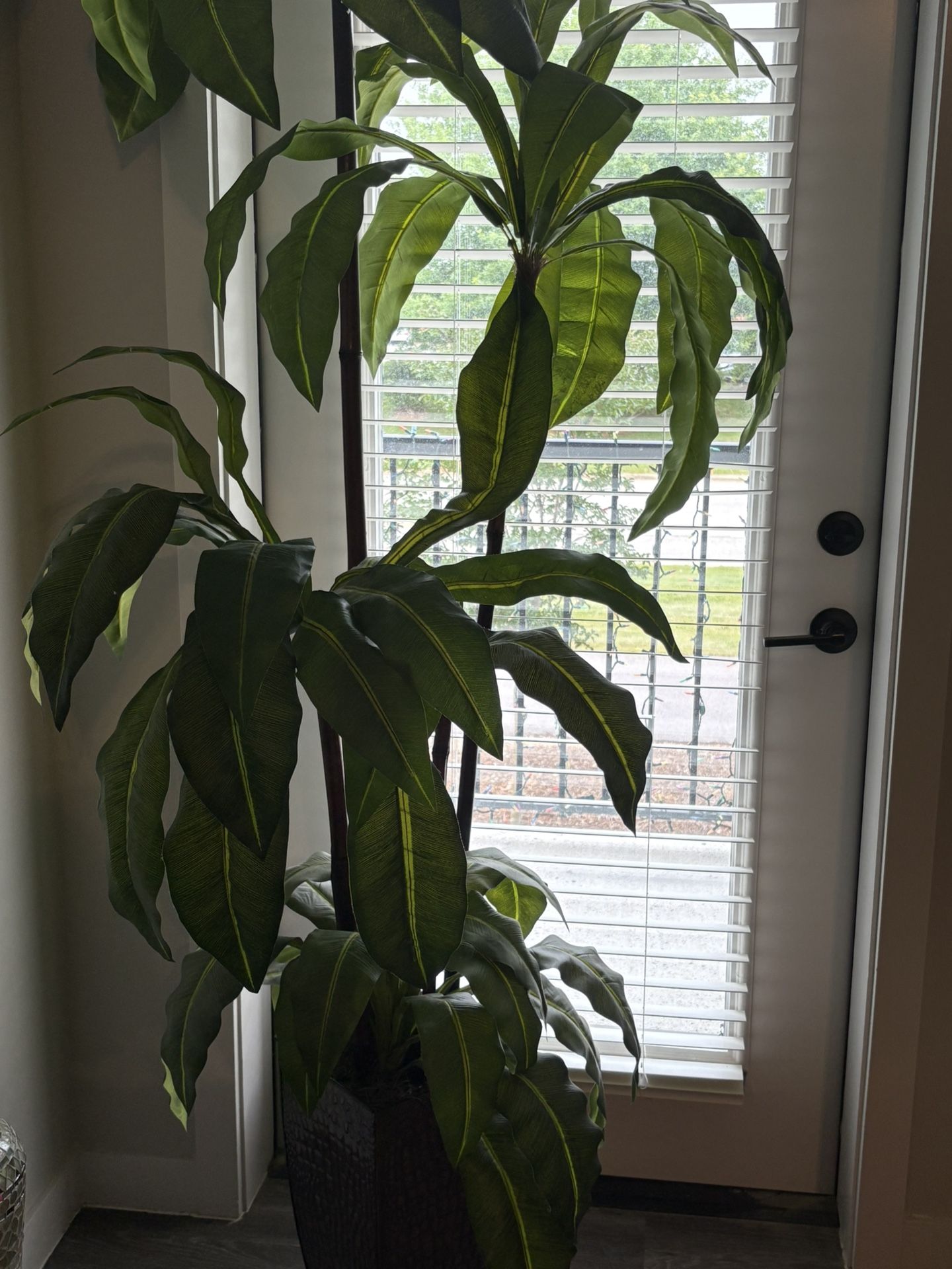 fake plant