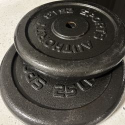 25lbs Weight Plates 