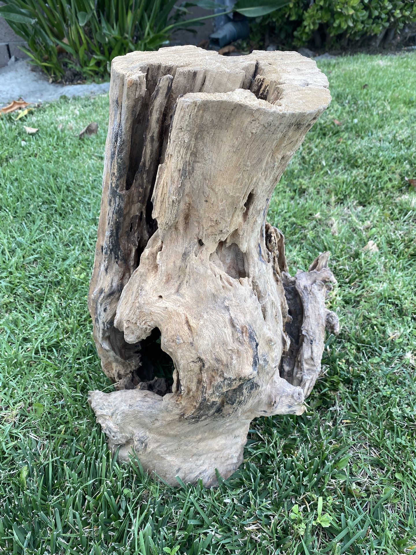 L:15” W:12” H:17” Driftwood Stump for Planted Aquarium Tank, Terrarium and Aquascaping - Decorative