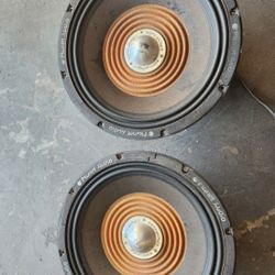 Old School Planet Audio Fu 15's 