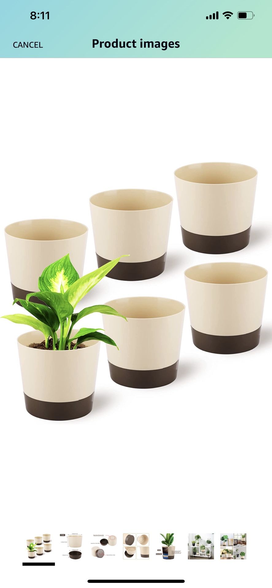 Planters Pot | Set of 6