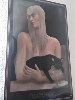 Cat Lover Wall Picture