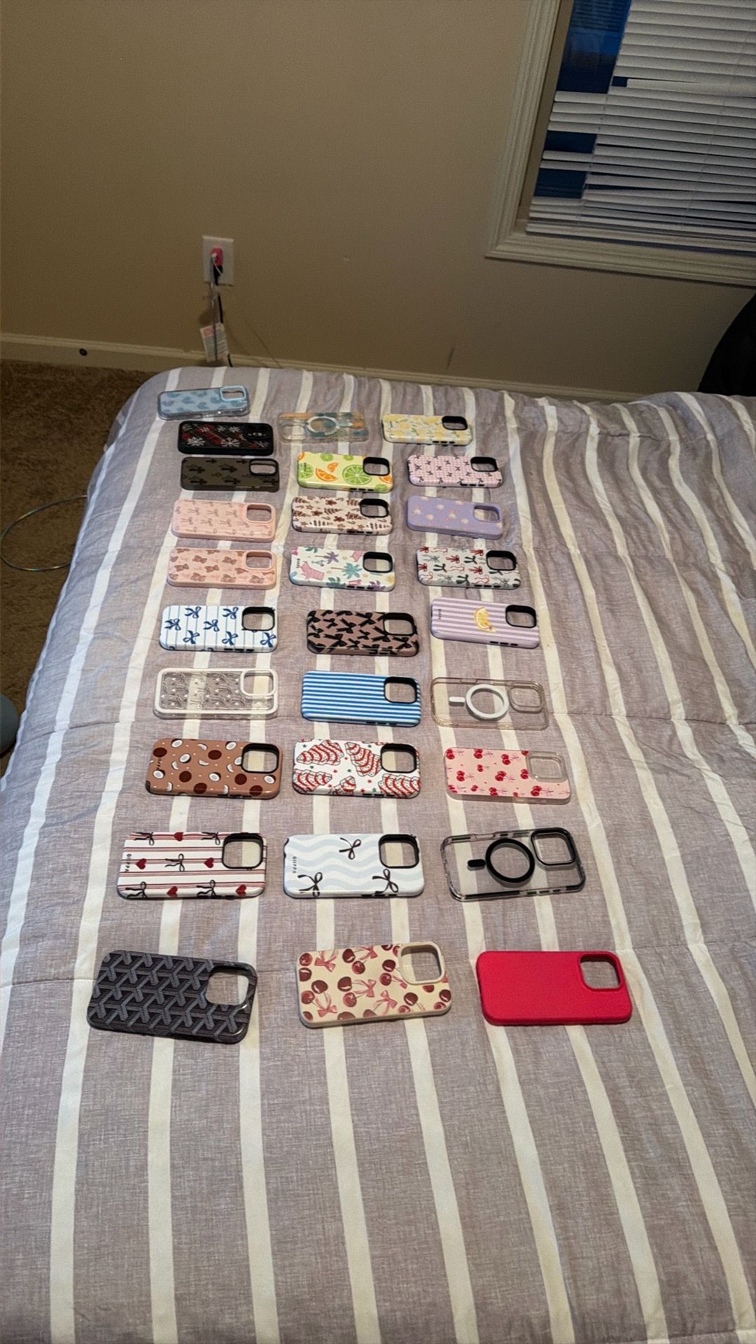 iPhone 16 Pro Cases