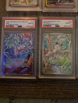 PSA Slabs