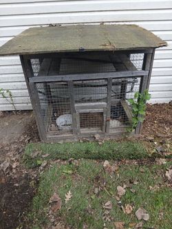 Chicken cage