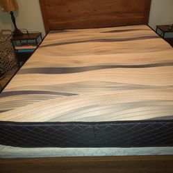 Se vende una  cama Queen mattress incluído
