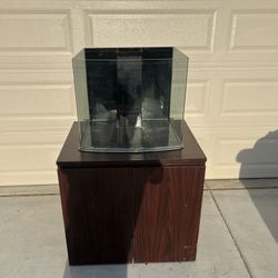 Saltwater Tank