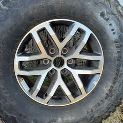 Raptor Full Size Spare 