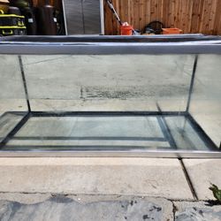 Fish Tank 