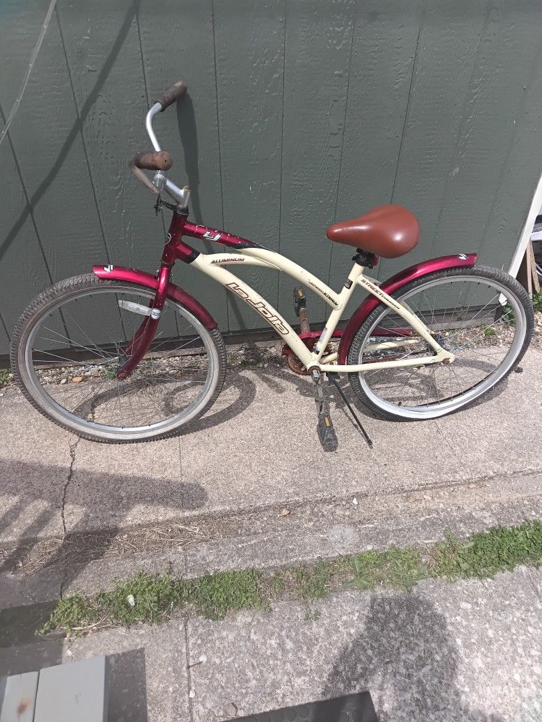 26 Inch Cruiser