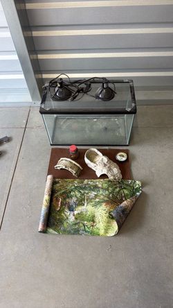 Desert terrarium starter kit with heat lights