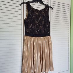 Formal Pleated Dress