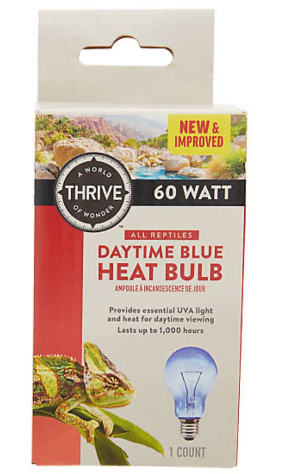 Daytime Blue Heat Bulb 60 Watt A world thrive of wonder