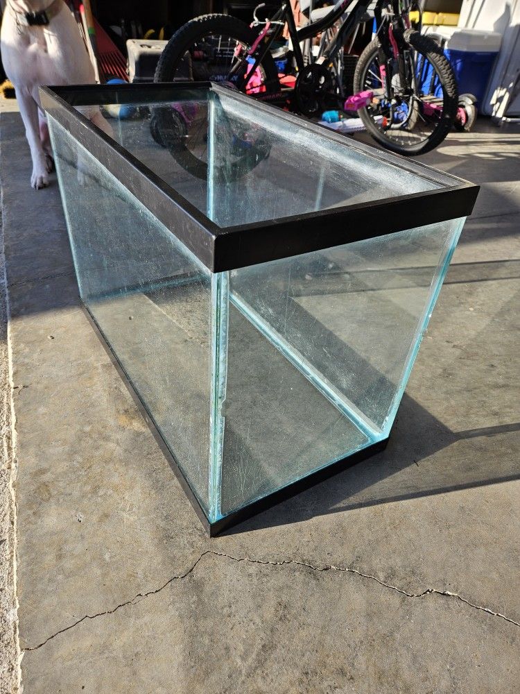 20 Gallon Fish Tank