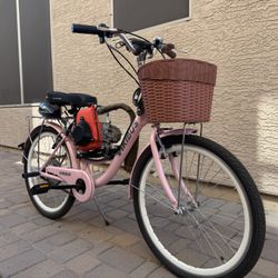 Gas Powered Bike